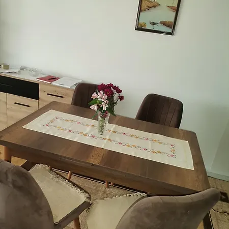 Mala Sirena * 皮罗特