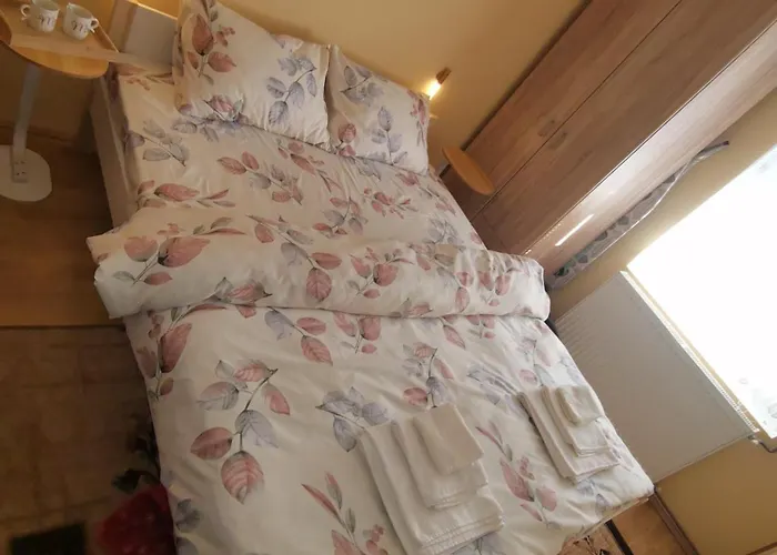 아파트 Mala Sirena 피로트